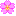 桜 桜